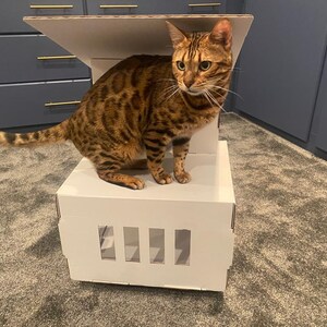 May include: A brown and black tabby cat standing on a white cardboard box with cut-out holes. The box has a folded-down flap on top.