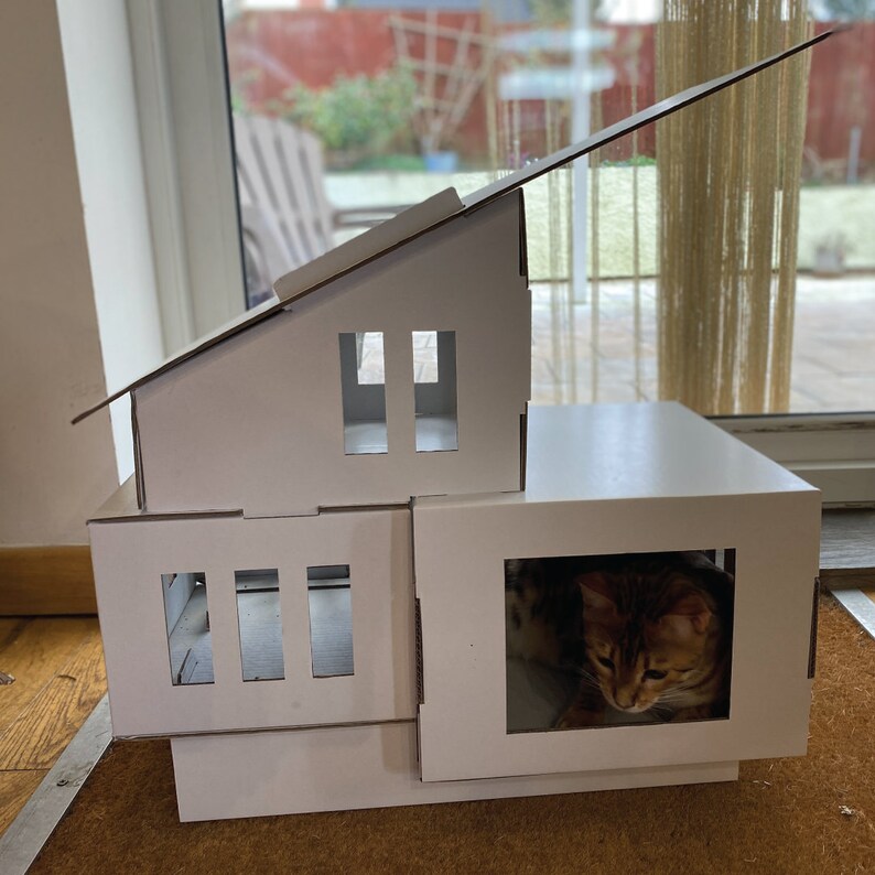 May include: A white cardboard cat house with a roof and multiple openings. A tabby cat is peeking out of one of the openings.
