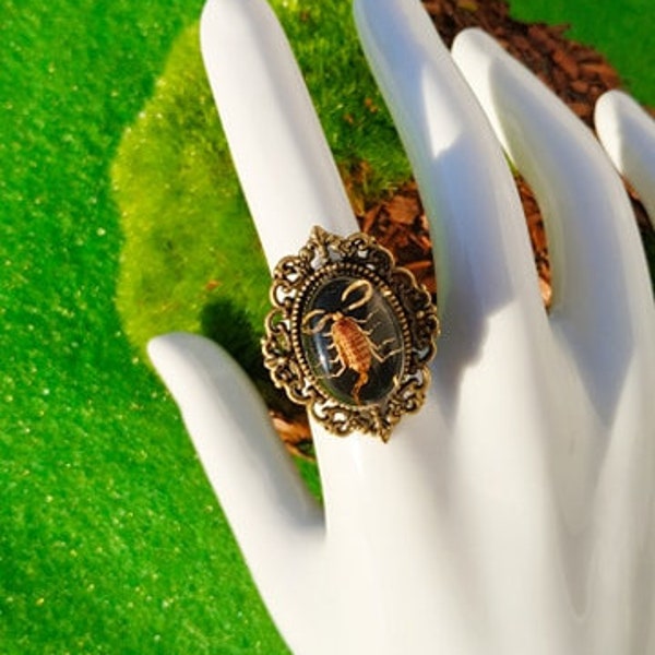 Bague insecte