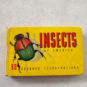 May include: A vintage book titled "INSECTS OF AMERICA" with a yellow cover. The cover features a colorful illustration of a beetle with a red and green body. The text "90 COLORED ILLUSTRATIONS" is also visible.