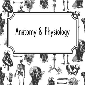 May include: A white background with black anatomical illustrations of the human body, including the heart, skeleton, and brain. The words "Anatomy & Physiology" are in a white framed box.