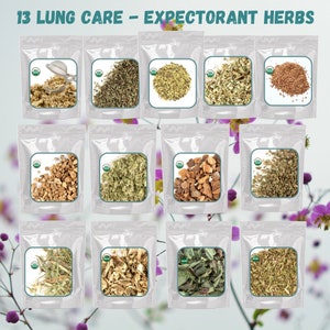 Lung Care Expectorant Herb | Tea | Tincture Recipe Included