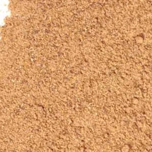 Black Cohosh Root Powder, Wildcrafted 1lb | Black Snake Root | Cimicifuga Racemosa