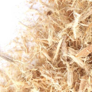 Slippery Elm Bark, USA Wildcrafted- BULK | Ulmus Rubra | Digestion Tea | Sustainably Harvested Herbal Tea