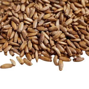 Milk Thistle Seeds, Raw 1lb BULK | Silybum Marianum | Herbal Superfood for Teas & Extracts | Detox Herb
