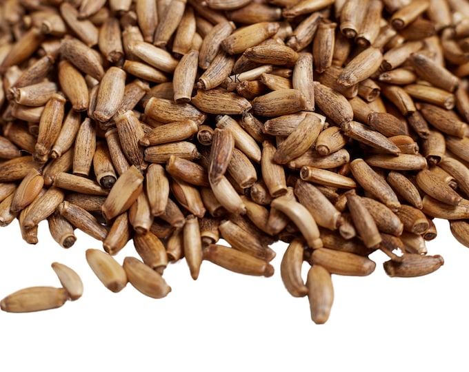 Milk Thistle Seeds, Organic BULK | Silybum Marianum | Herbal Superfood for Teas & Extracts