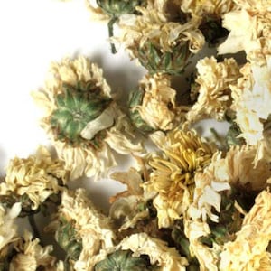 May include: Dried white chrysanthemum flowers with yellow centers. The flowers are loose and have a delicate, papery texture.