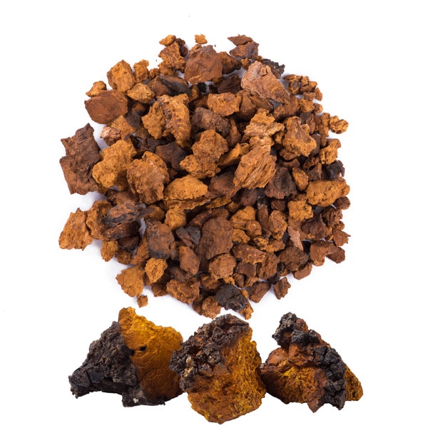 Chaga Mushroom Chunks, Siberian w. Black Top Crust, 1lb | Wildcrafted Tea Pieces