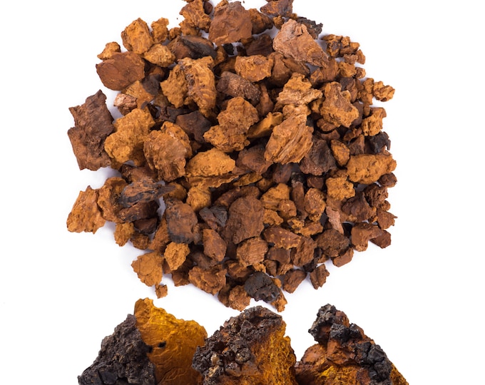 Chaga Mushroom Chunks, Siberian w. Black Top Crust, 1lb | Wildcrafted Tea Pieces