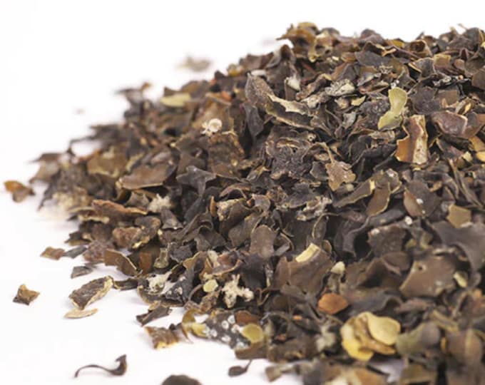 Bladderwrack  Seaweed, Cut, 1lb | Wildcrafted| Loose Herb and Spices