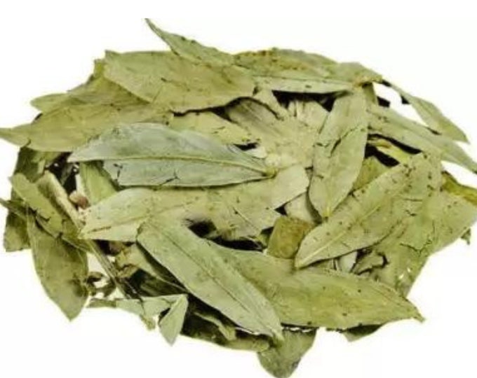 Senna Leaf, Whole - Wildcrafted, 1lb | Senna Alexandrina | Tea