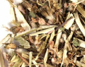 Motherwort Herb, Wildcrafted 1lb C/S | Loose Leaf Tea | Leonurus Cardiaca