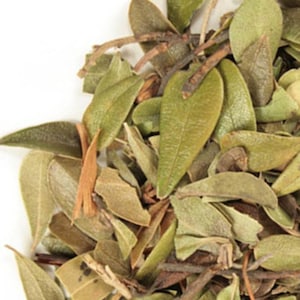 Uva Ursi | Bearberry Leaf, Whole - Wildcrafted 1lb | Bear Berry | Arctostaphylos | Bearberry Loose Herb for Tea and Skincare