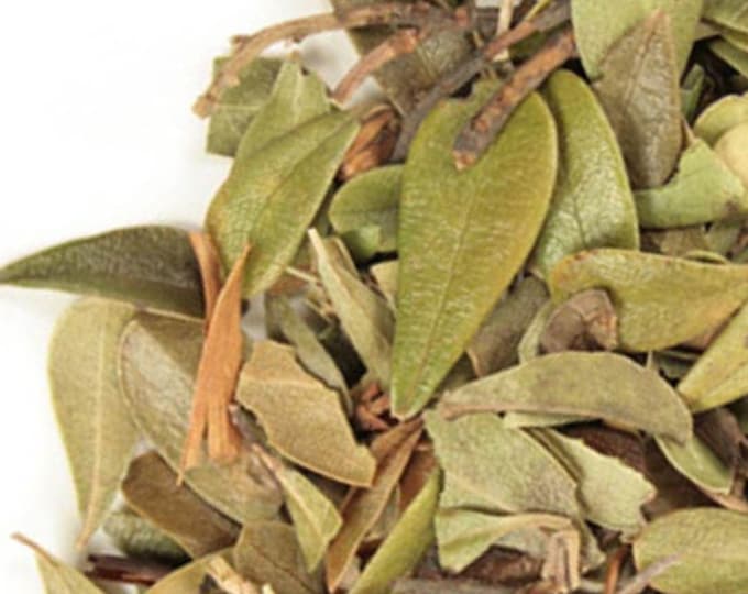 Uva Ursi | Bearberry Leaf, Whole - Wildcrafted 1lb | Bear Berry | Arctostaphylos | Bearberry Loose Herb for Tea and Skincare
