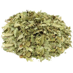 Epimedium Seeds - Etsy