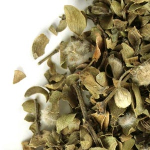 Chaparral Leaf, Whole, BULK - USA 1lb | Gobernadora | Creosote Bush | Hediondilla | Larrea Tridentata | Herbal Skincare & Infusions