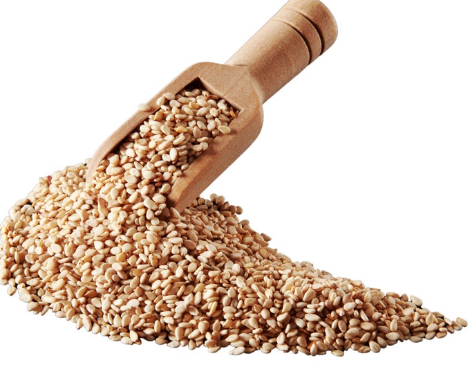 Sesame Seed Unhulled, Organic - RAW 1lb | Sesamum Indicum