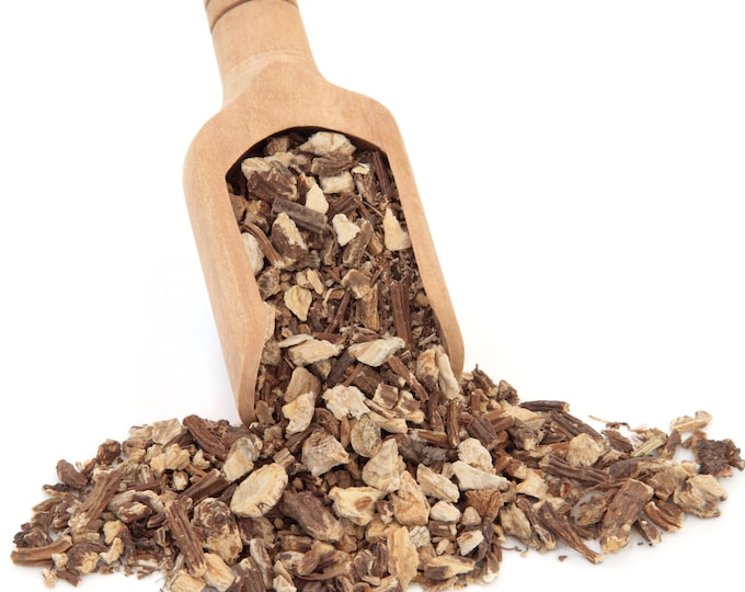 Angelica Root, 1lb BULK - Organic | Archangelica Officinalis | Holy Ghost Root | Herbal, Skincare, Culinary & Spiritual Use