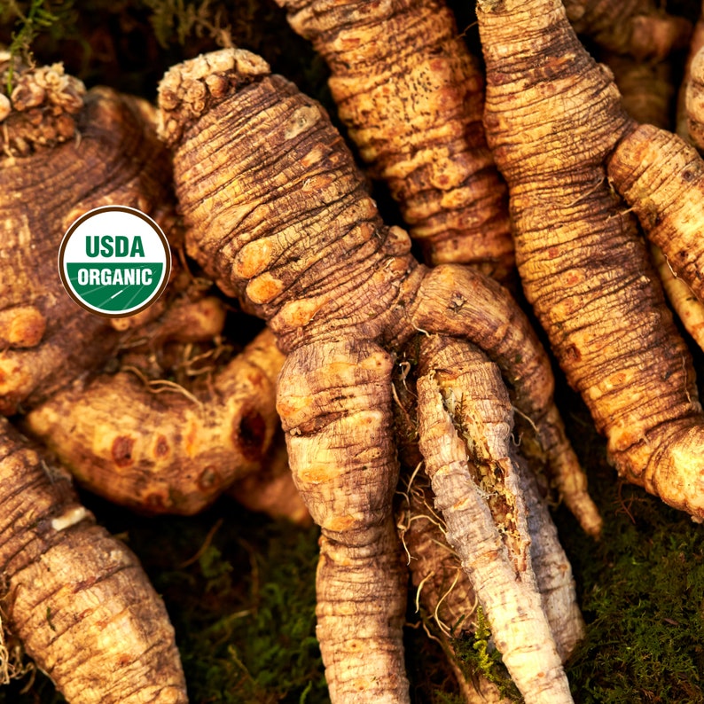 Ginseng Root Organic Cut 1/2 Oz 16 Oz American Panax Etsy Canada
