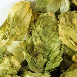 Hops Flower, Whole USA - 1lb | Hops Petal | Humulus lupulus | Dried Edible Flower