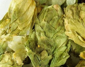 Dried Hops Flower: Whole, 1lb Bulk - Herbal Tea & Tisane | Humulus lupulus