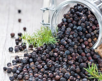 Juniper Berry, | Dried Ripe Berries | Juniperus Communis