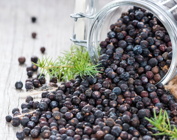 Juniper Berry, Organic, BULK | Dried Ripe Berries | Juniperus Communis