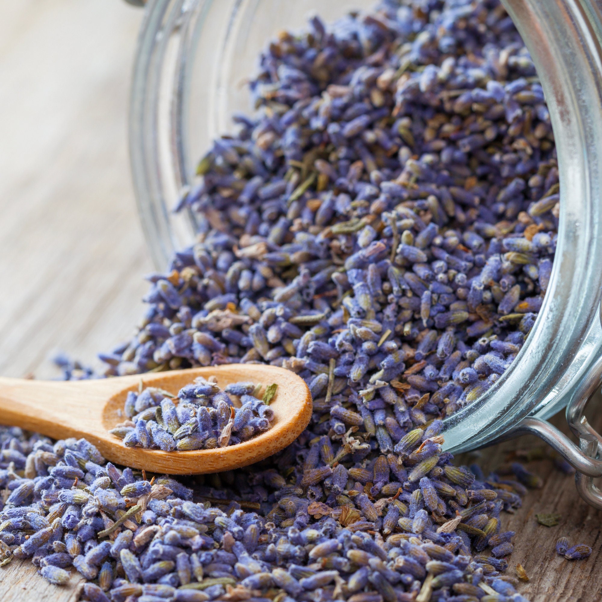  Dried Lavender Flower Buds for Crafts, Baking, Tea