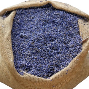 Lavender Bud, Organic French 1lb BULK | Tea | Culinary Flowers | Food Grade | for Sachets