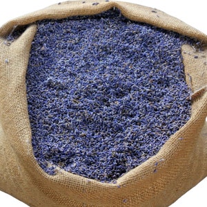 Lavendelknospen, Bio Französisch - 1lb BULK | Kulinarische Blume für Beutel, Hochzeit, Konfetti, Sirup, Tee | Lavandula angustifolia aus der Provence