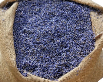 Cogollo de lavanda, francés orgánico 1 lb BULK / Té / Flores culinarias / Grado alimenticio / para bolsitas