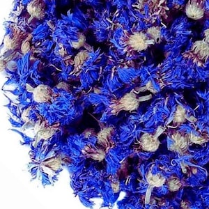 Blue Cornflower, Whole 1lb | Edible Corn Flower Bud & Petal | Centaurea Cyanus Tea