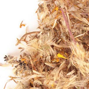 Arnica Flower, Whole - BULK, Wildcrafted | Mexico Heteroteca Inuloides | Organic Flower Herb