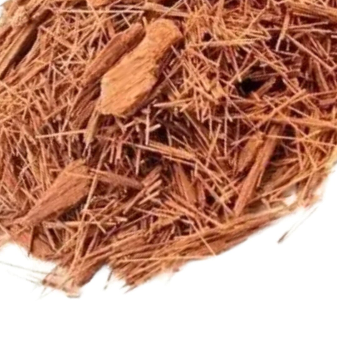 Yellow Uxi Bark, Amarelo | Endopleura Uchi - Wildcrafted C/S ...