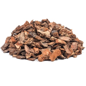 White Pine Bark, Wildcrafted USA 1lb, C/S | Pinus Strobus Herb Tea