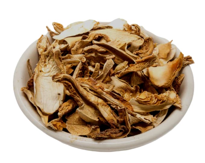 Maitake Mushroom - Hen of the Woods, Organic | Dehydrated Grifola Frondosa