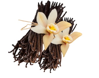 Vanilla Beans, Whole Pods: Grade A - Madagascar Spice | Vanilla Planifolia