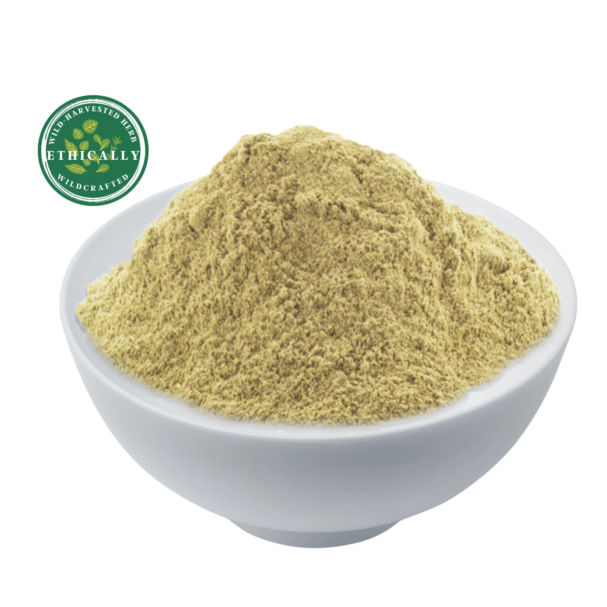 Raw Nopal Cactus Powder, USA Wildcrafted Prickly Pear Opuntia Cacti
