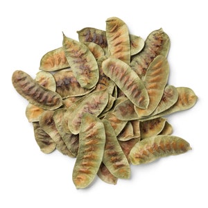 Senna Pods 1lb | Senna Alexandrina | Herbal Tea - Detox, Digestive Aid