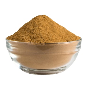 Truthahnpilzpulver, Fruchtkörperextrakt, USA BULK | Coriolus Versicolor