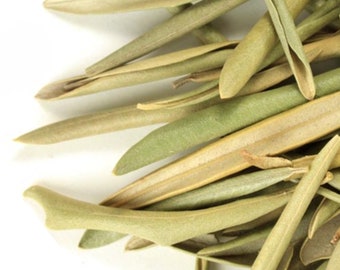 Olive Leaf, Whole, Wildcrafted 1lb | Olea Europaea - Organic or Wild-Harvested Tea Herbs