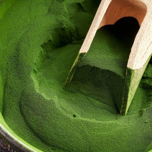 Chlorella Chlorophyll Powder, 1lb | 100% Freshwater Blue-Green Algae | Pulverized Cell Wall | Auxenochlorella Pyrenoidosa | Detox Powder