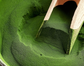 Chlorella Chlorophyll Powder, 1lb | 100% Freshwater Blue-Green Algae | Pulverized Cell Wall | Auxenochlorella Pyrenoidosa | Detox Powder