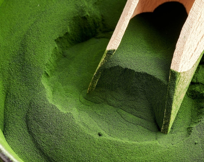 Chlorella Chlorophyll Powder, 1lb Organic | 100% Freshwater Blue-Green Algae | Pulverized Cell Wall | Auxenochlorella Pyrenoidosa | Detox