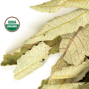 Yerba Santa Leaf, Whole - 1LB Wildcrafted | Organic Dry Tea Herb | Eriodictyon Calfornicum
