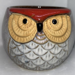 May include: A ceramic owl-shaped container with a red top and tan eyes. The container is primarily gray with white and blue accents. The owl's eyes are black, and the beak is black. The container has a rounded shape and a textured surface.