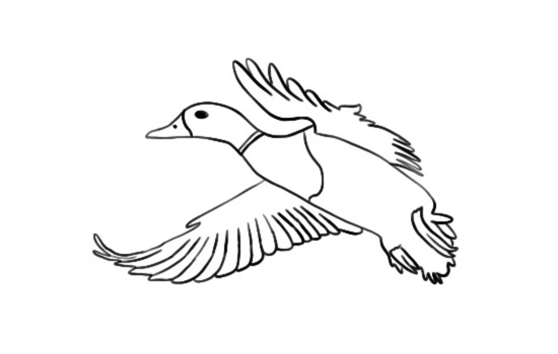 Mallard duck decal | Etsy