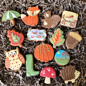 The Any Occasion Autumn Biscuit Box