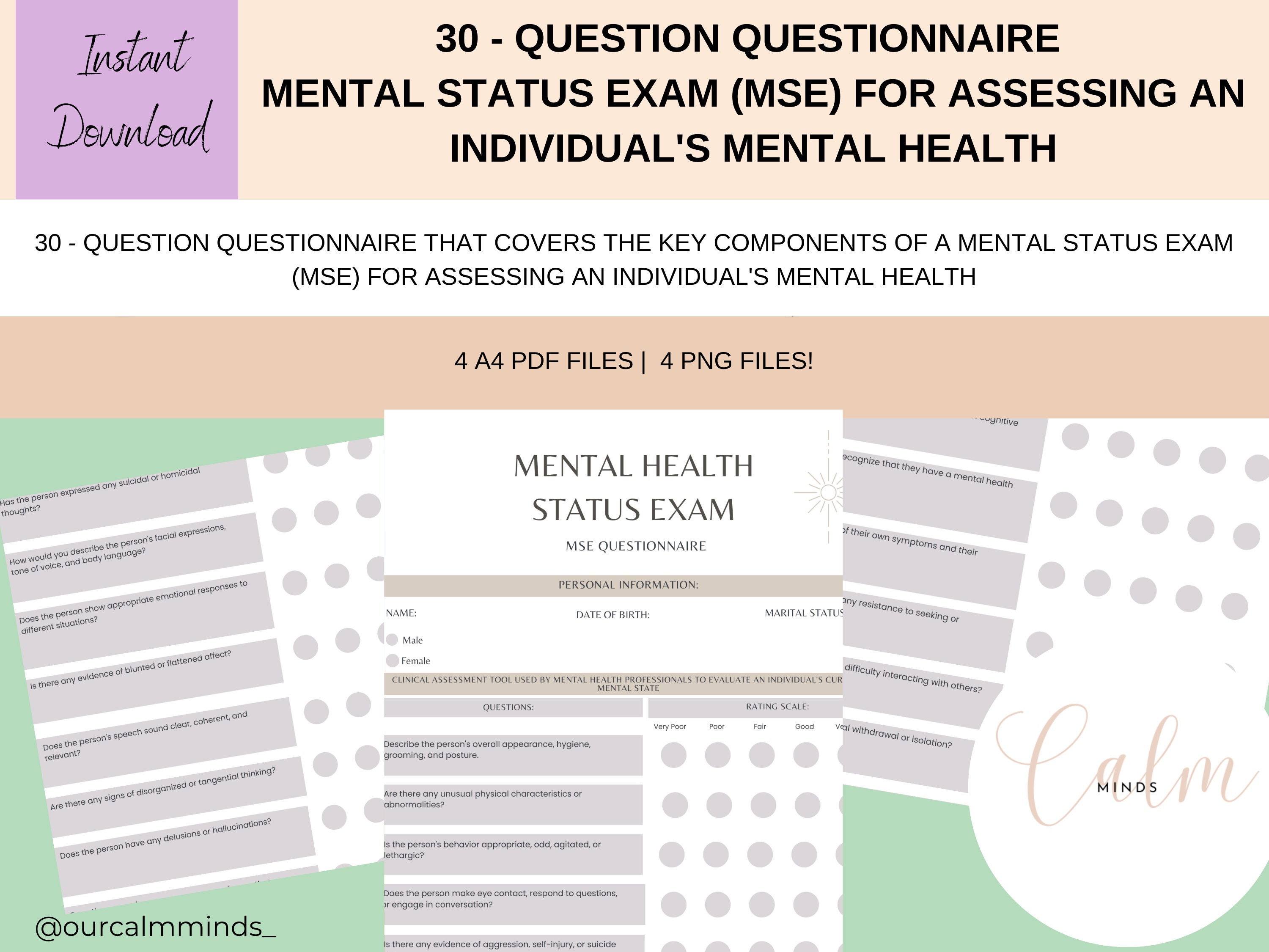 Mental Status Exam MSE Cheat Sheet, DBT Therapy Forms, Client Intake