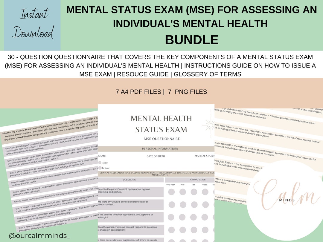 Mental Status Exam MEGA MSE Bundle, DBT Therapy Forms, Client Intake Sheet, Private Practice